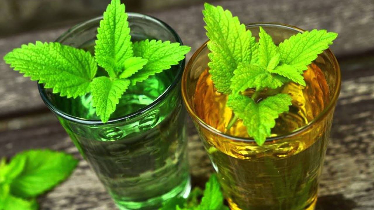 తులసి మొక్కను ఎంతో పవిత్రంగా భావిస్తూ ఉంటారు. తులసి మొక్కకు ఎంతో ప్రాధాన్యత ఇస్తారు. తులసిలో అనేక ఔషధ గుణాలు, పోషకాలు ఉంటాయి. తులసి నీళ్లు తాగితే ఎన్నో రకాల సమస్యలు రాకుండా కంట్రోల్ చేసుకోవచ్చు. వచ్చిన ఎన్నో హెల్త్ ప్రాబ్లమ్స్‌ని కూడా తగ్గించుకోవచ్చు.
