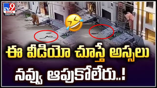 బ్లాక్ అండ్ వైట్, టీచర్స్ స్కాచ్, ఇంపీరియల్ బ్లూ.. బాటిళ్లు తెరిచి చూడగా కళ్లు జిగేల్..