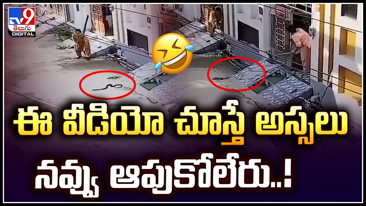 Viral: ఈ వీడియో చూస్తే అస్సలు నవ్వు ఆపుకోలేరు.! పాముతోనే ఆటల..