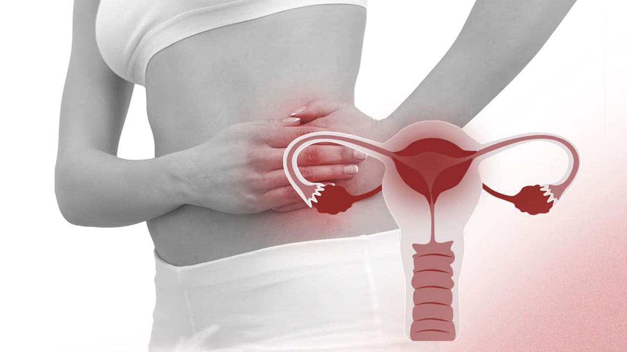 Uterus Infection: ఆ సమయంలో భరించలేని కడుపునొప్పి వేదిస్తుందా? బీ కేర్ ఫుల్.. ఇది కారణం కావచ్చు