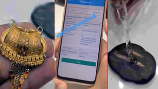 Personality Test: ఈ ఫొటోలో ఒక పిల్లిని మీరు సెలెక్ట్ చేసుకుంటే.. మీరెలాంటివారో మేం చెప్పేస్తాం..! ఆర్‌ యూ రెడీ..