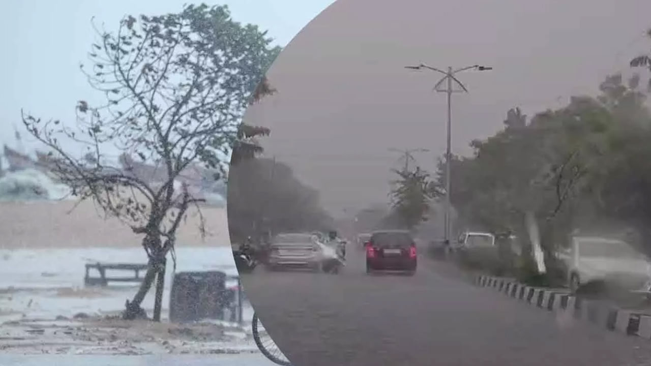 కోనసీమ, తూర్పుగోదావరి, పశ్చిమగోదావరి, కృష్ణా, ఎన్టీఆర్, ప్రకాశం, నెల్లూరు, కర్నూలు, నంద్యాల, అనంతపురం, శ్రీసత్యసాయి, వైఎస్ఆర్, చిత్తూరు జిల్లాల్లోని కొన్ని ప్రాంతాల్లో తేలికపాటి నుంచి మోస్తరు వర్షాలు కురిసే అవకాశం ఉంది.