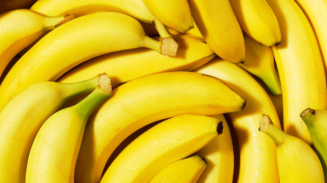 అరటి పండు ప్రతిరోజూ తిన్నా కూడా బరువు పెరుగుతారు. అందుకే చిన్న పిల్లకు రోజూ ఒక అరటి పండు ఇవ్వమని వైద్యులు చెబుతూ ఉంటారు. పీనట్ బటర్ కూడా ఆరోగ్యానికి మంచిదే. రోజూ బ్రెడ్ మీద ఈ బటర్ రాసి పిల్లలకు పెడితే పోషకాలు అందడంతో పాటు బరువు కూడా గెయిన్ అవుతారు.
