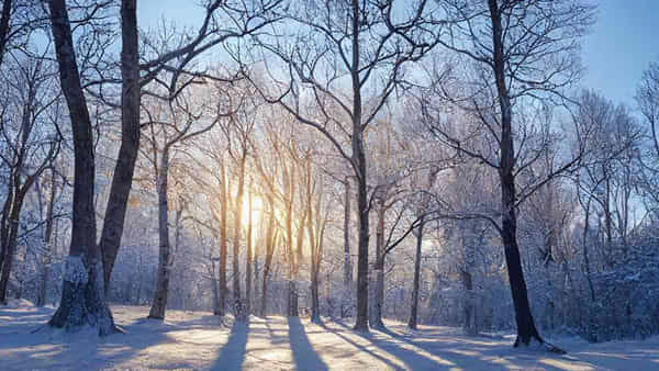 Winter Solstice: ఏడాదిలో వింటర్ సోల్స్టిస్కి చాలా ప్రత్యేకత.. సూర్యుడి అనుగ్రహం కోసం ఏమి చేయాలంటే