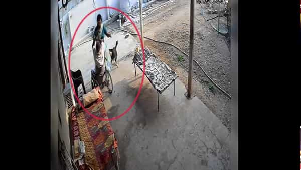 Telangana: కనికరం లేని కోడలు.. వీల్ చైర్లో ఉన్న మామపై విచక్షణారహిత దాడి..!