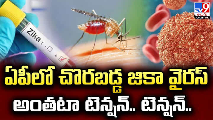 ఏపీలో చొరబడ్డ జికా వైరస్.. అంతటా టెన్షన్.. టెన్షన్.. ఏపీలో చొరబడ్డ జికా వైరస్.. అంతటా టెన్షన్.. టెన్షన్..