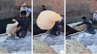 అందంలో ఐశ్వర్యరాయ్ అని పిలుచుకునే అరుదైన పాము..! అద్భుత వీడియో వైరల్‌.. చూస్తే ఫిదా అవ్వాల్సిందే..