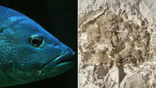 దర్జాగా కారును కొట్టేశాడు.. తీరా లోపల చిన్నారిని చూసి ఏం చేశాడో తెలిస్తే…