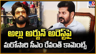 Rashmika Mandanna: ఆ సినిమా తర్వాత రిటైర్ అవ్వాలనుంది.. రష్మిక షాకింగ్ కామెంట్స్
