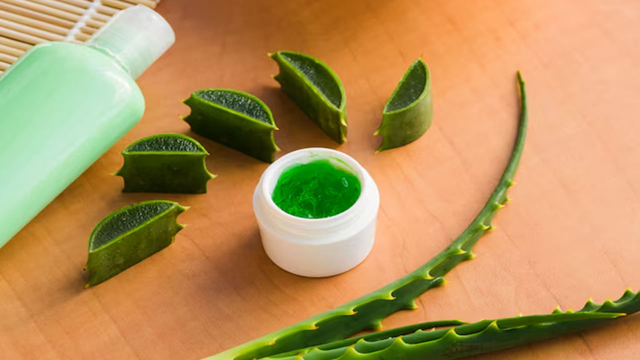 Aloe Vera For Hair