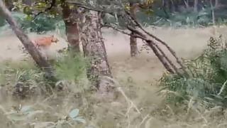 19మంది పిల్లల తల్లి.. బిజినెస్‌ స్టడీస్‌లో డాక్టరేట్‌ పూర్తి చేసింది..! ఆమె ఎవరో తెలుసా..?