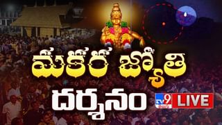 నిద్ర లేచిన వెంటనే నల్ల పిల్లి కనిపిస్తే మంచా.. చెడ్డదా .. రోజు ఎలా ఉంటుందంటే