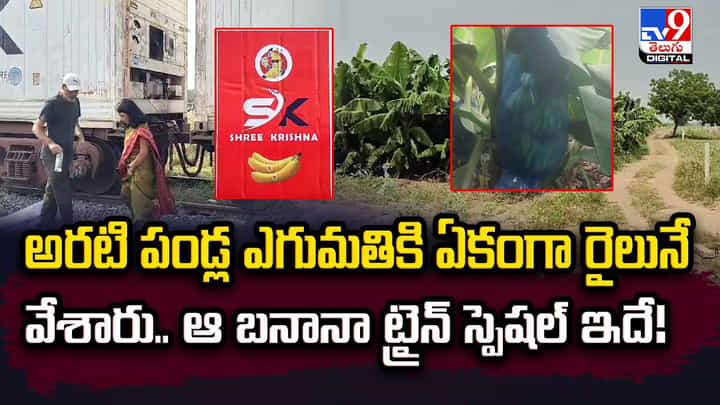 అరటి పండ్ల ఎగుమతికి ఏకంగా రైలునే వేశారు.. ఆ బనానా ట్రైన్ స్పెషల్ ఇదే అరటి పండ్ల ఎగుమతికి ఏకంగా రైలునే వేశారు.. ఆ బనానా ట్రైన్ స్పెషల్ ఇదే