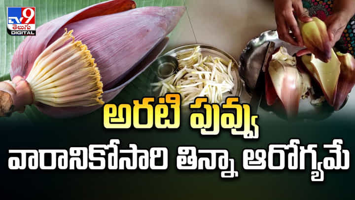 అరటి పువ్వు వారినికోసారి తిన్నా చాలు.. ఈ రోగాలు మటుమాయం అరటి పువ్వు వారినికోసారి తిన్నా చాలు.. ఈ రోగాలు మటుమాయం