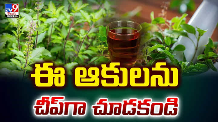 ఈ ఆకులను చీప్గా చూడకండి.. నాలుగు ఆకులు తిన్నారంటే రోగాలన్నీ పరార్ ఈ ఆకులను చీప్గా చూడకండి.. నాలుగు ఆకులు తిన్నారంటే రోగాలన్నీ పరార్