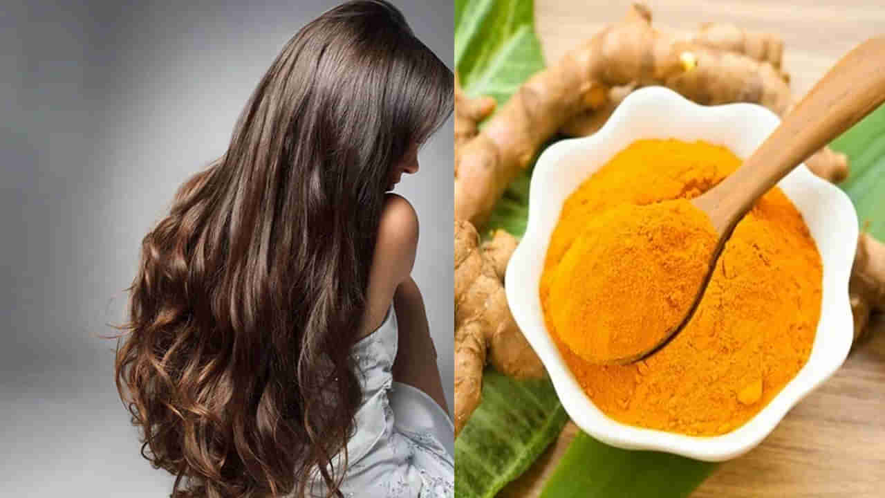 పసుపుని ఇలా వాడితే ఎలాంటి జుట్టు సమస్యలైనా దూరమవ్వాల్సిందే.. ట్రై చేసి చూడండి..