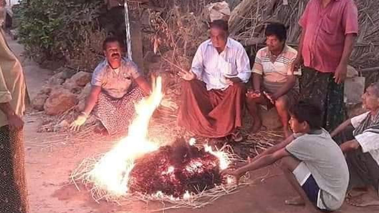 భోగి పండగ సమయానికి చలి వల్ల క్రిమికీటకాలు ప్రబలే అవకాశం ఉంది. భోగిమంటలు వాతావరణంలో వెచ్చదనాన్ని నింపుతాయి. అంతేకాదు పంట కోతలు పూర్తవడంతో పొలాల నుంచి క్రిమి కీటగాదులు ఇళ్ల వైపు వస్తాయి. ఇవి ఇంట్లోకి రాకుండా భోగిమంటలు ఉపయోగపడతాయి.