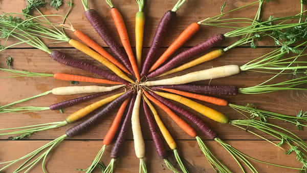 Black Carrots: నారింజ క్యారెట్ల కన్నా నల్ల క్యారెట్ తింటే ఎన్ని లాభాలో తెలుసా..? ఈ తీవ్రమైన వ్యాధులు పరార్..