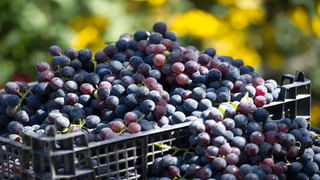 Warm Salt Water Benefits : పరగడుపున ఒక గ్లాస్ గోరువెచ్చని నీటిలో ఉప్పు కలిపి తాగితే ఊహించని లాభాలు..!