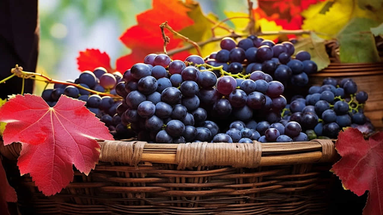 Black grapes