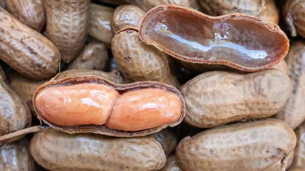 Peanuts Benefits: పల్లీలని ఉడికించి తింటే కలిగే లాభాలు తెలిస్తే.. ఎగబడి తింటారు..