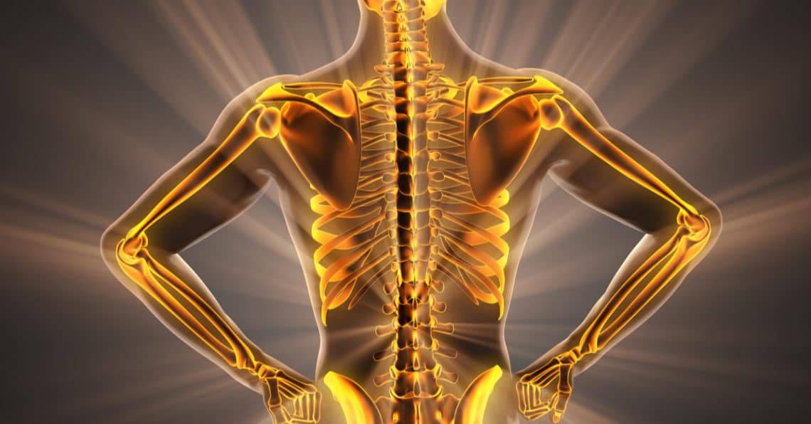 Bones Health 2
