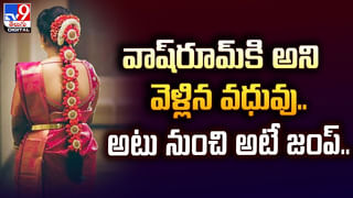 Watch: ఏంది భయ్యా అది.. మేకనో, గొర్రెనో తోలినట్లుగా సింహాన్ని తరిమికొట్టావ్‌..! నీ గుండె ధైర్యానికి..