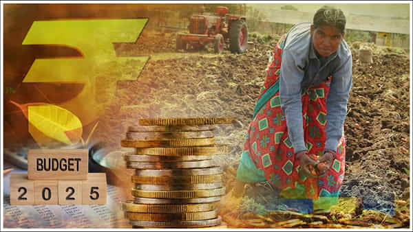 Budget 2025: ఈ బడ్జెట్ దేశ రైతుల భవితవ్యాన్ని మార్చనుందా..? రైతుల డిమాండ్ ఏంటి?