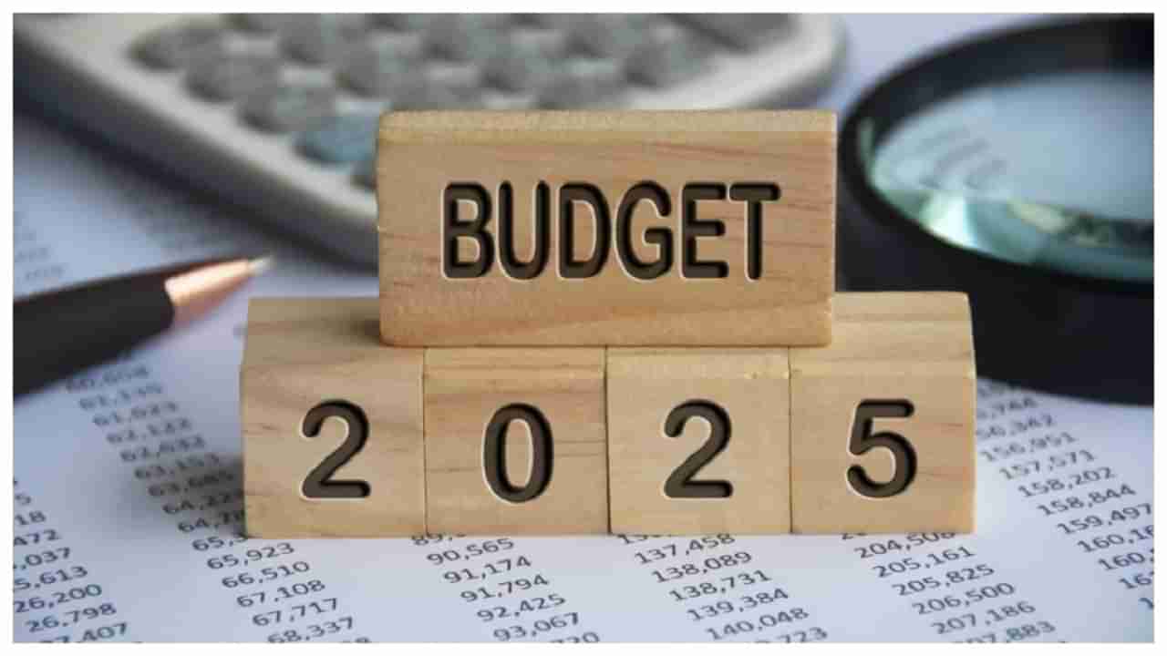 Budget 2025: బడ్జెట్‌పైనే బీమా రంగం ఆశలు.. పన్ను బాదుడు నుంచి రక్షణ?