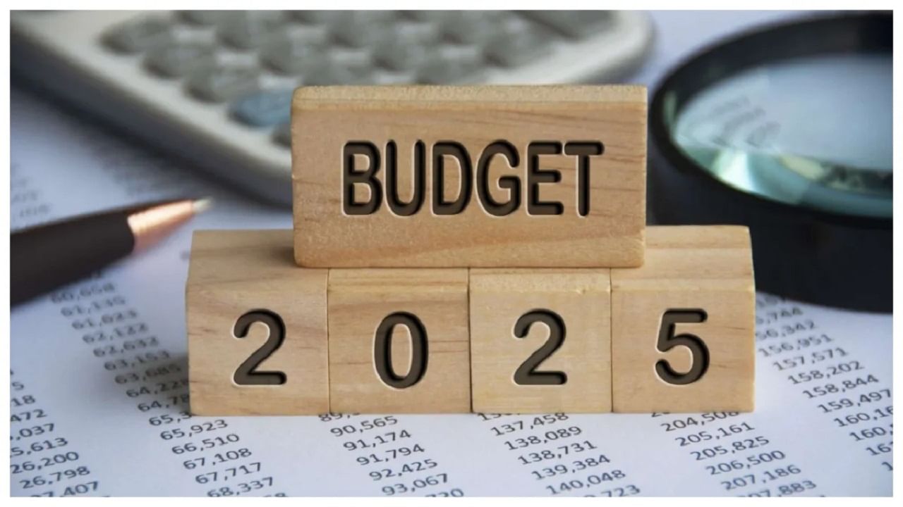 Budget 2025: బడ్జెట్‌పైనే బీమా రంగం ఆశలు.. పన్ను బాదుడు నుంచి రక్షణ?