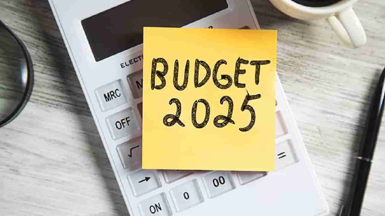 Budget 2025: జీఎస్టీ తగ్గింపుపైనే ఆ రంగం ఆశలు.. డ్రైఫ్రూట్ వ్యాపారుల ప్రధాన డిమాండ్లు ఇవే..!