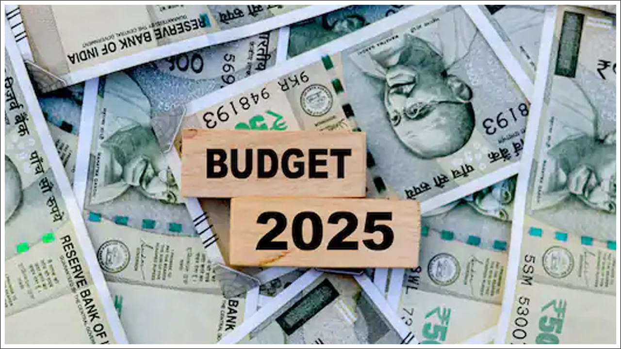 భారతదేశంలో 1955-56కి ముందు దేశ సాధారణ బడ్జెట్ ఆంగ్లంలో ప్రచురించారు. అయితే దీని తర్వాత హిందీలో ప్రచురించడం మొదలైంది. 