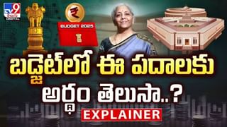 Budget 2025: బడ్జెట్‌లో ఈ పదాలకు అర్థాలు తెలుసా ??