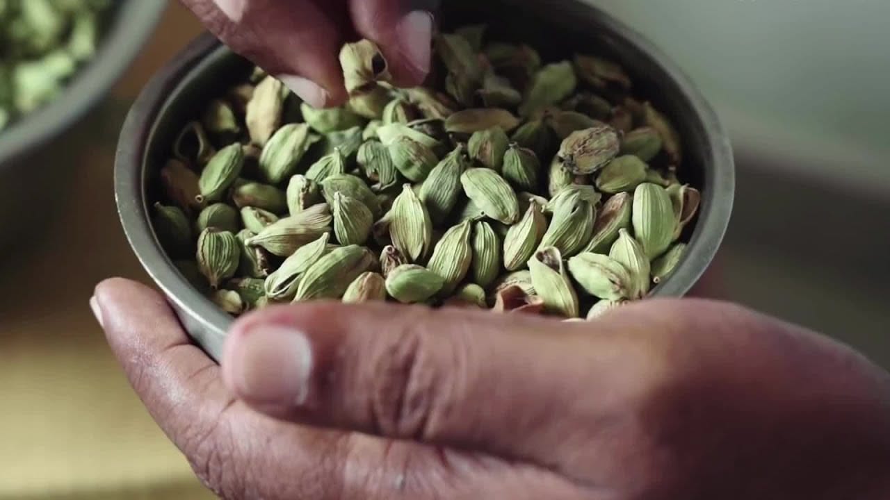 యాలకులతో జీర్ణ వ్యవస్థకు ఎన్నో ప్రయోజనాలు ఉన్నాయి. తిన్న తర్వాత కడుపు ఉబ్బరంగా అనిపిస్తే రెండు యాలకులు నోట్లో వేసుకుని నమిలితే చాలు.. సత్వర ఉపశమనం లభిస్తుంది. ప్రతి రోజూ రాత్రి పడుకునే ముందు యాలకులు తింటే గ్యాస్‌, ఎసిడిటీ, మలబద్ధకం వంటి పొట్ట సమస్యలు తగ్గిపోతాయిని నిపుణులు చెబుతున్నారు. 