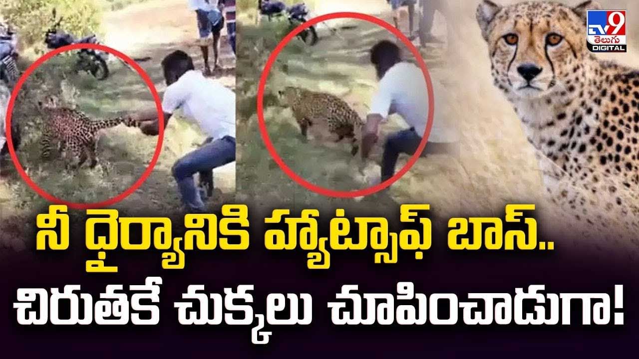 నీ ధైర్యానికి హ్యాట్సాఫ్‌ బాస్..చిరుత‌కే చుక్కలు చూపించాడుగా!