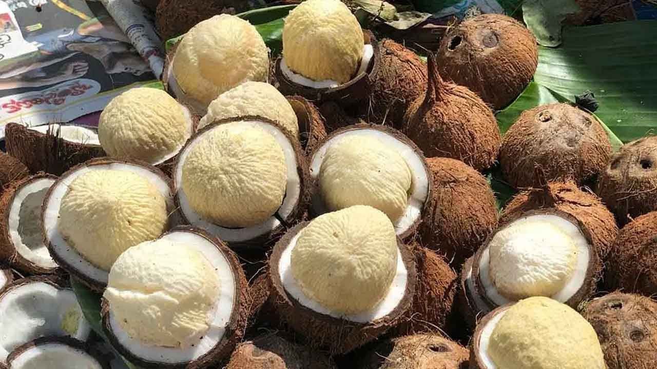 Coconut Flower Uses: కొబ్బరి పువ్వు కనిపిస్తే లేట్ చేయకుండా తినండి..