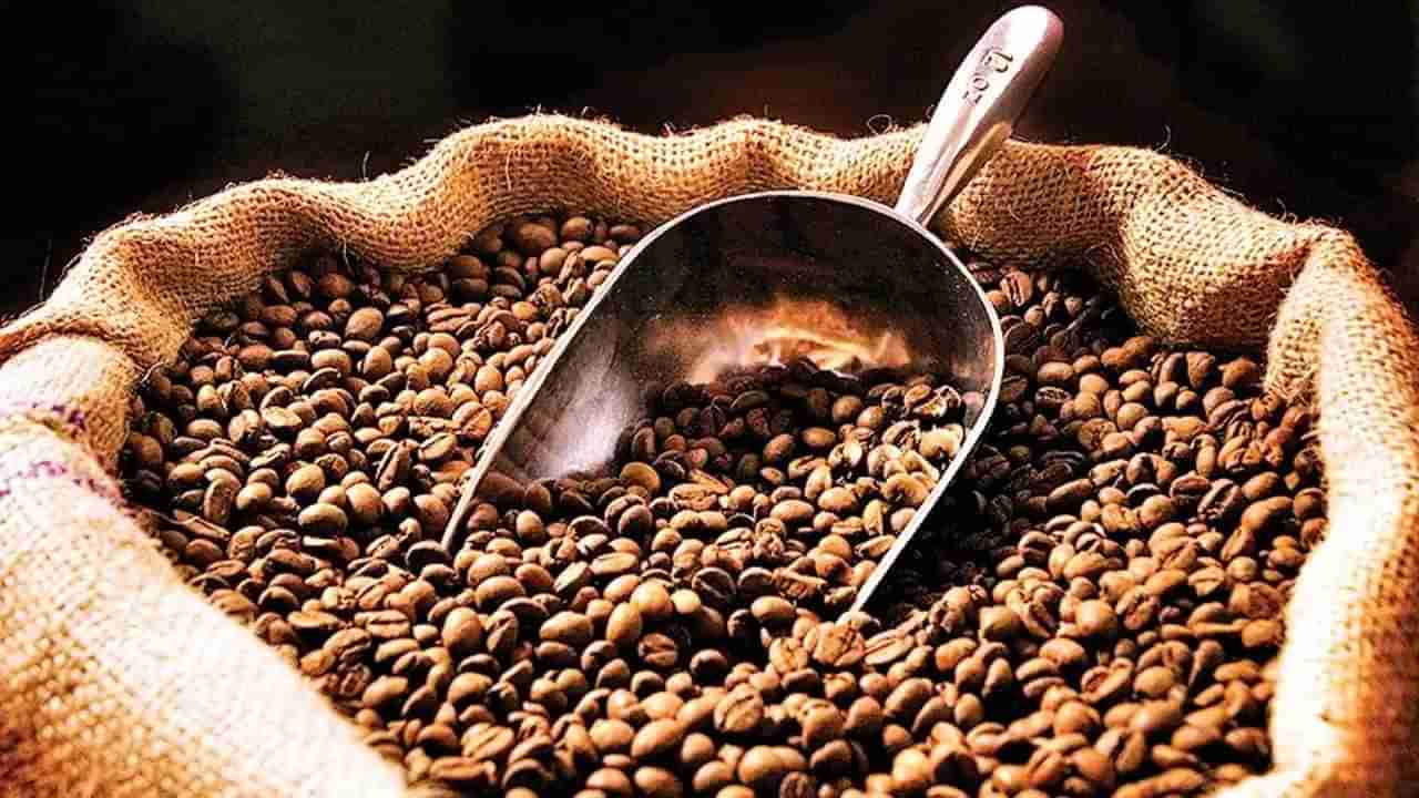 Coffee exports: మన కాఫీ రుచికి ప్రపంచం ఫిదా.. విదేశాలకు పెరిగిన ఎగుమతులు
