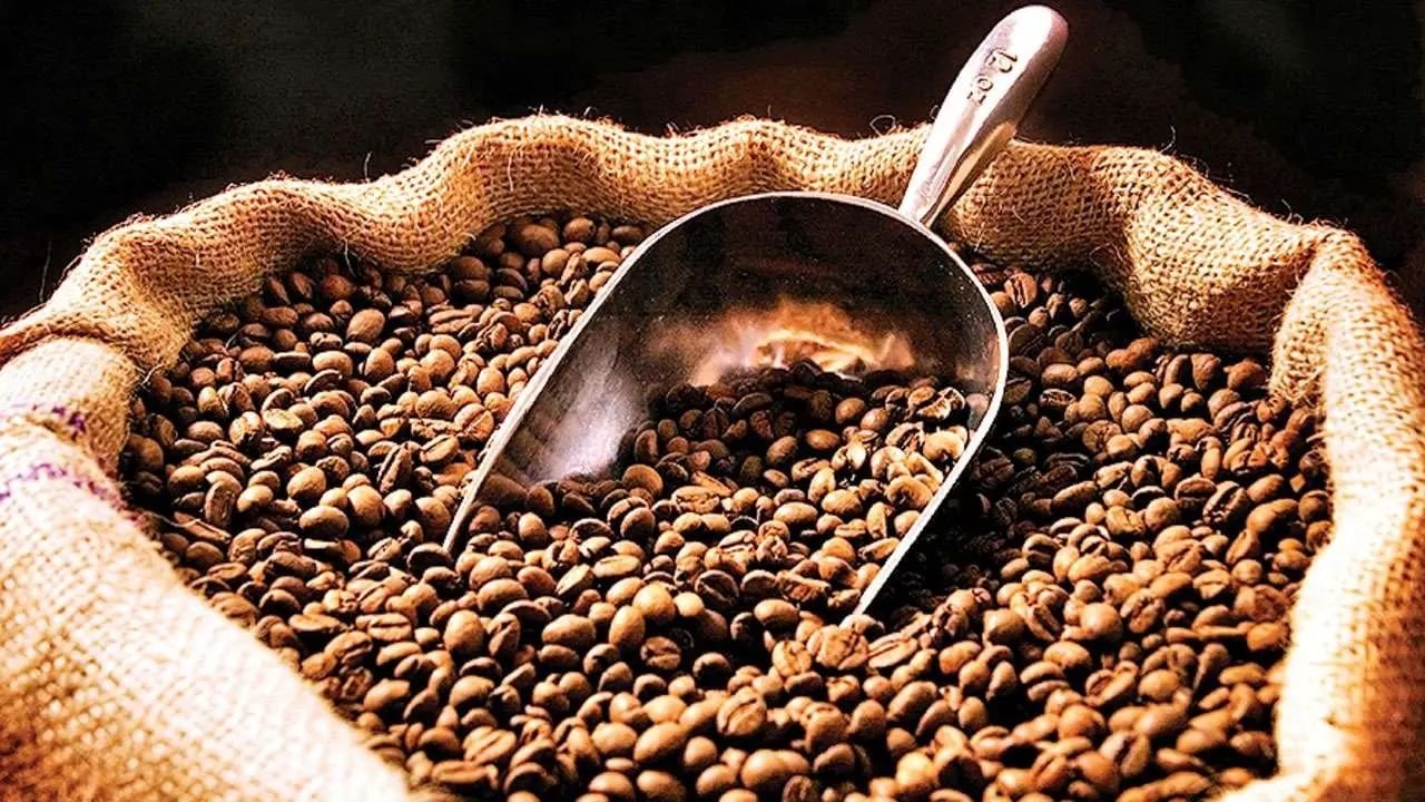 Coffee exports: మన కాఫీ రుచికి ప్రపంచం ఫిదా.. విదేశాలకు పెరిగిన ఎగుమతులు