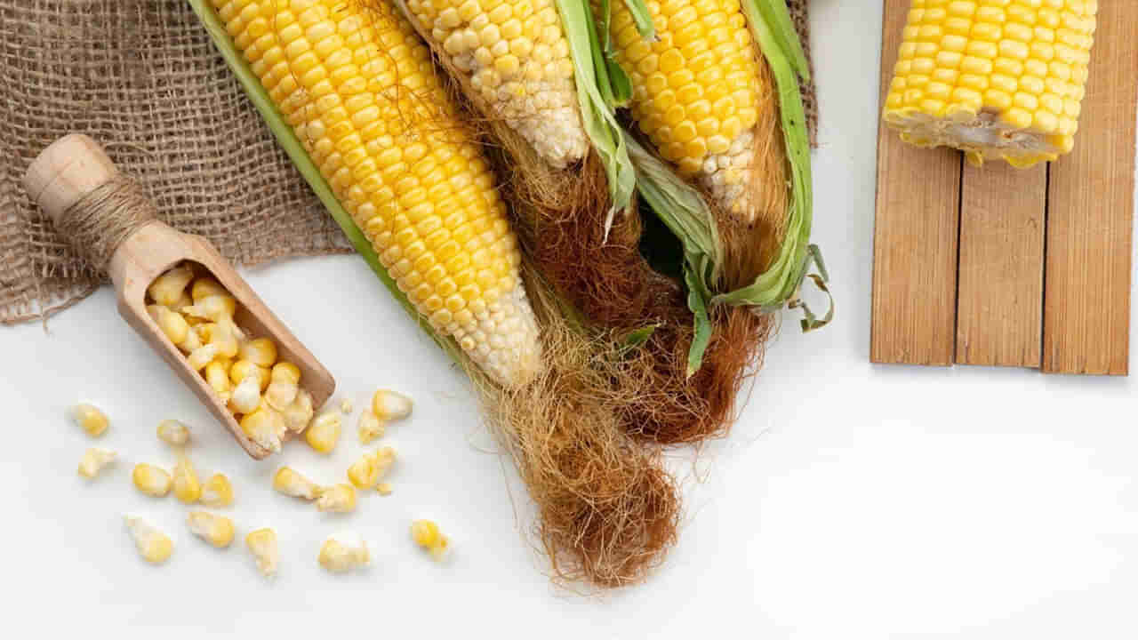 Corn silk Health Benefits: మొక్కజొన్న పీచుతో ఆరోగ్యానికి ఎన్ని ప్రయోజనాలో తెలిస్తే వదిలి పెట్టరు!
