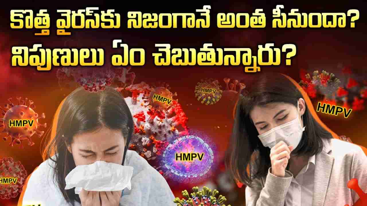 HMPV Virus: ఎప్పుడో పుట్టిన వైరస్.. ఇప్పుడెందుకు పేట్రేగుతోంది..? HMPVకి అంత సీనుందా..