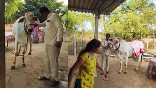 Amazon: మసిపూసి మారేడులా అమెజాన్ డెలివరీలు.. కట్ చేస్తే.. ఏకంగా రూ. 102 కోట్ల గోల్‌మాల్