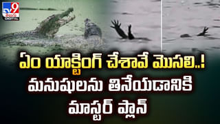 అమ్మ కోసం విమానాన్నే ఆపించిన మహిళ..!
