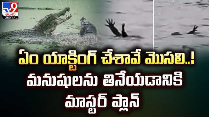 ఏం యాక్టింగ్ చేశావే మొసలి..! మనుషులను తినేయడానికి మాస్టర్ ప్లాన్ ఏం యాక్టింగ్ చేశావే మొసలి..! మనుషులను తినేయడానికి మాస్టర్ ప్లాన్