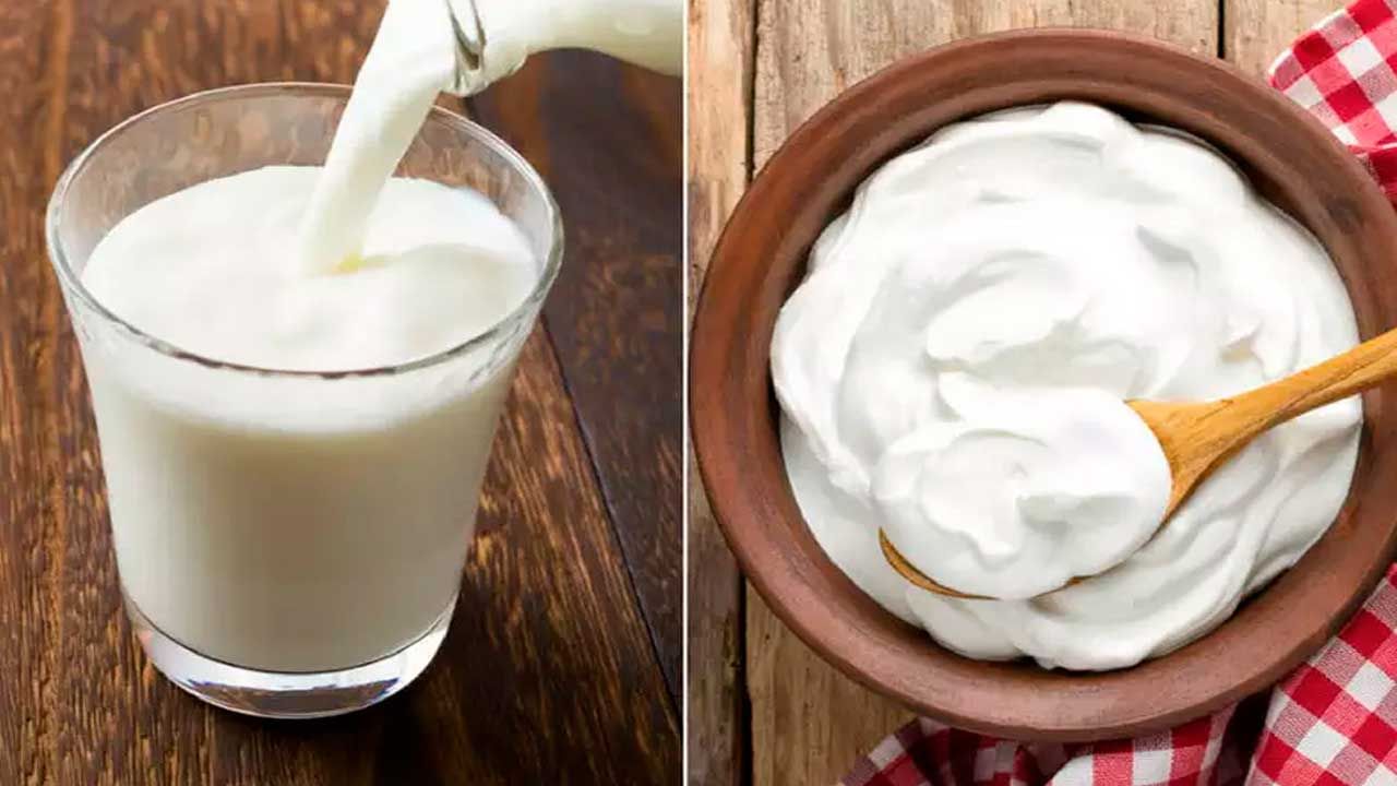 Curd Vs Buttermilk: మజ్జిగే కదా అని చీప్‌గా చూడకండి.. గుట్టలాంటి పొట్టకు ఛూమంత్రం