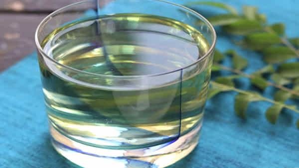 Curry Leaves Water: 30 రోజులు ఉదయాన్నే ఖాళీ కడుపుతో కరివేపాకు నీరు తాగితే ఆరోగ్యమే..!