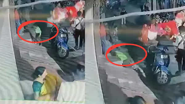 Watch Video: పెళ్లి ఊరేగింపులో గుర్రం అదిరిపోయే స్టెప్పులు.. అంతలో షాకింగ్ సీన్! వీడియో..