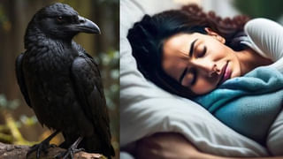 Vastu Tips: పర్సులో నెమలి పించం ఉంచితే అదృష్టం, ఐశ్వర్యం ఖాయం..!