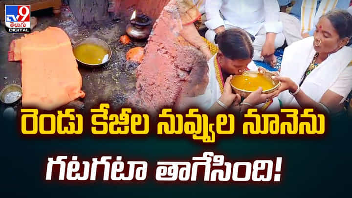 రెండు కేజీల నువ్వుల నూనెను గటగటా తాగేసింది! రెండు కేజీల నువ్వుల నూనెను గటగటా తాగేసింది!