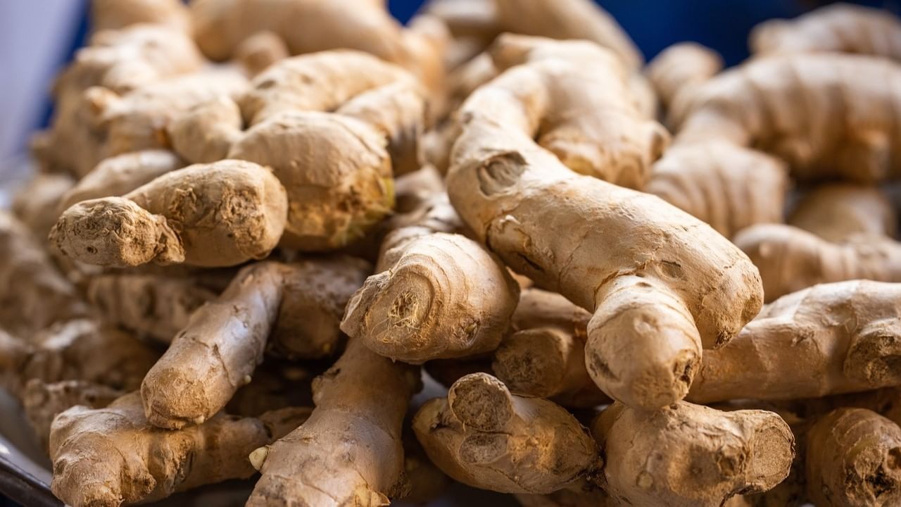 చలికాలంలో పలు రకాల ఇన్‌ఫెక్షన్ల నుంచి రక్షణ కోసం అల్లంతో కషాయం, సూప్‌, టీ చేసుకొని తీసుకోవటం మంచిదని చెబుతున్నారు. అల్లం శరీరాన్ని వెచ్చగా ఉంచుతుంది. అల్లం నీళ్లు కూడా ఆరోగ్యానికి మంచి చేస్తాయి. ఆరోగ్య నిపుణుల అభిప్రాయం ప్రకారం, అల్లంలో యాంటీ ఇన్ఫ్లమేటరీ లక్షణాలు కనిపిస్తాయి, ఇది నొప్పి నుండి ఉపశమనం అందించడంలో సహాయపడుతుంది. 