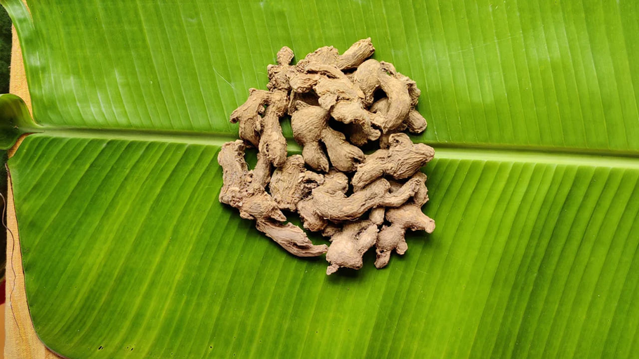 Dry Ginger Benefits: ఆరోగ్యానికి వ‌రం సొంఠి.. రోజూ క్రమం తప్పకుండా వాడితే శరీరంలో మ్యాజిక్‌లాంటి మార్పులు..!